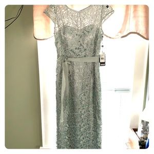 Adrianna Papell Cap-Sleeve Illusion Lace Gown